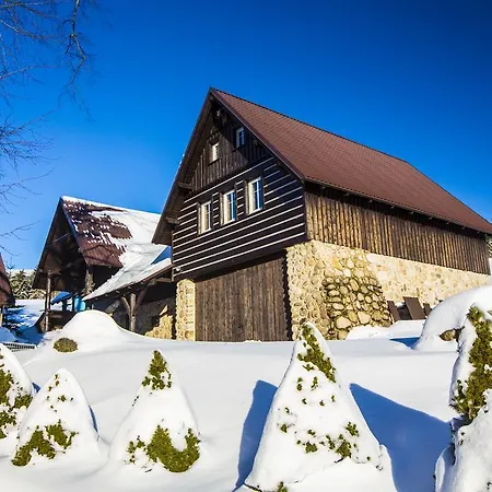 Guest house Pod Lipami 3*