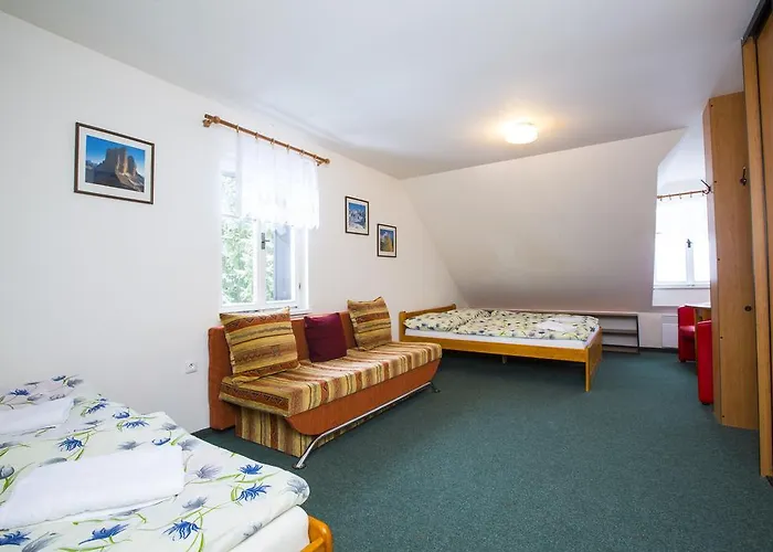 Pod Lipami Pensionat 3*